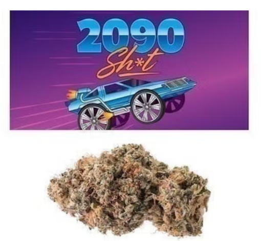 Buy 2090 Shit Online