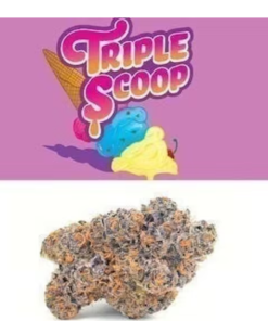 Buy Triple scoop cookies